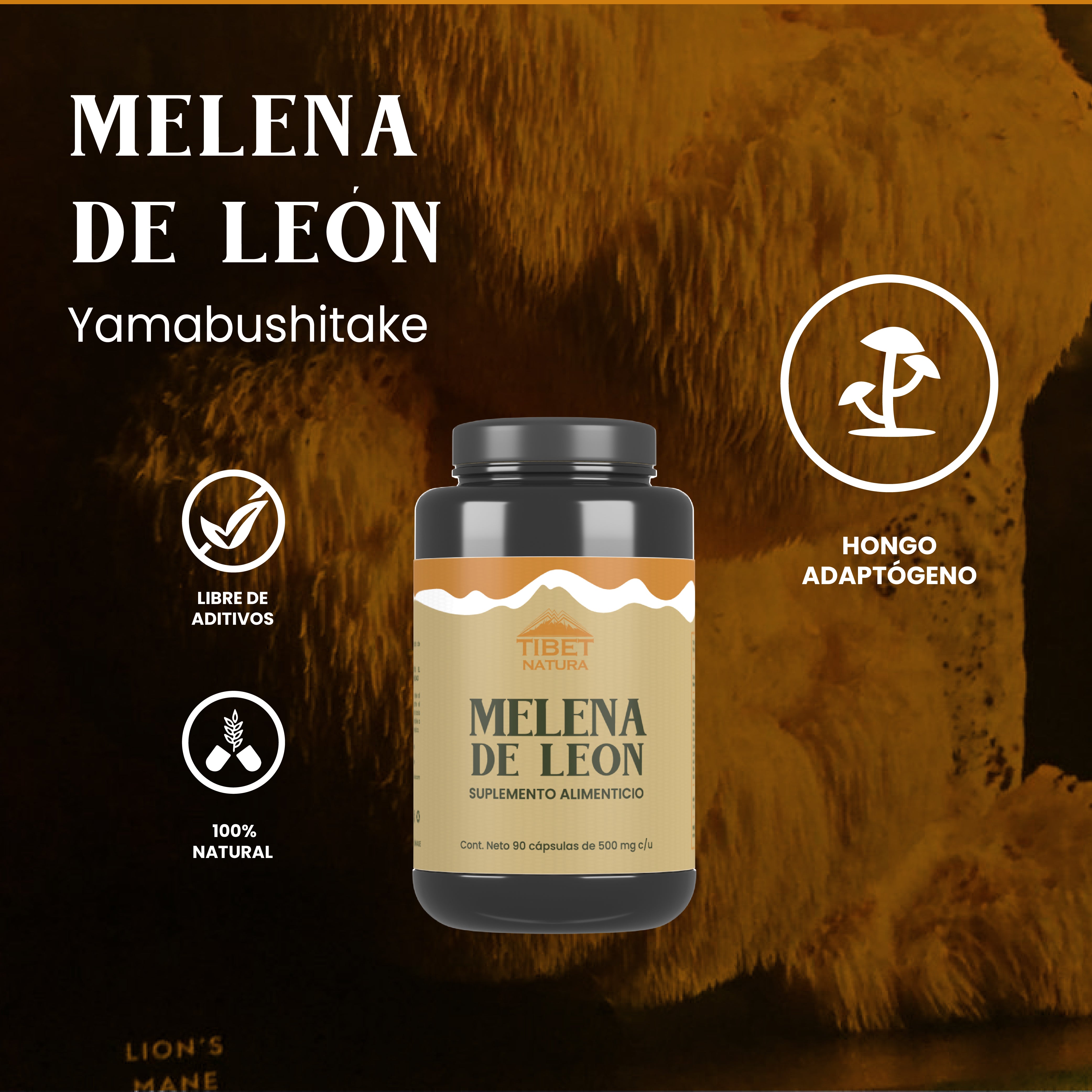 Melena de León - 90 Cápsulas de 500 mg c/u - Hongos Adaptógenos - Suplemento Alimenticio Natural - Sin Azúcar Ni Conservantes