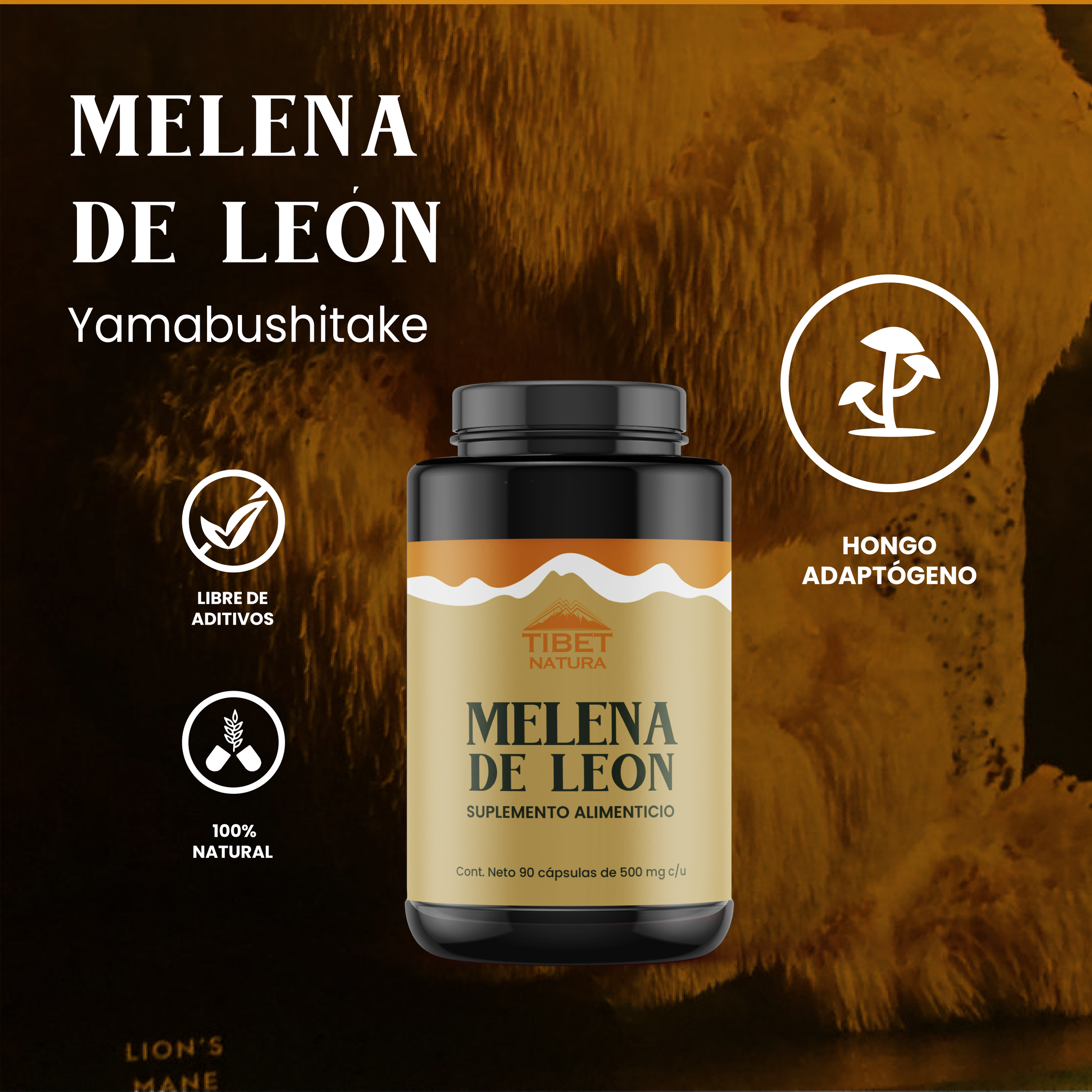 Melena de León - 90 Cápsulas de 500 mg c/u - Hongos Adaptógenos - Suplemento Alimenticio Natural - Sin Azúcar - Ni Conservantes