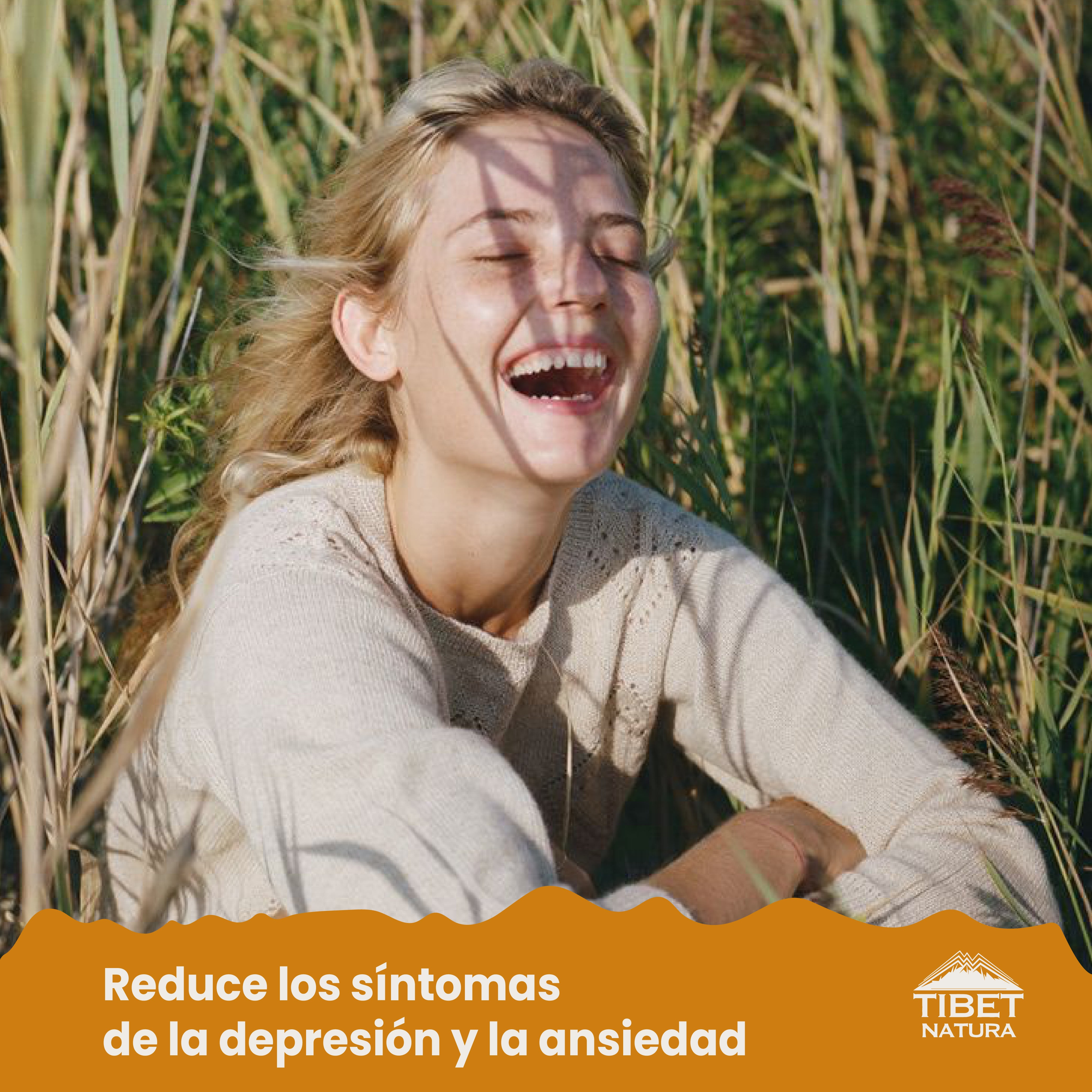 Melena de León - 90 Cápsulas de 500 mg c/u - Hongos Adaptógenos - Suplemento Alimenticio Natural - Sin Azúcar Ni Conservantes