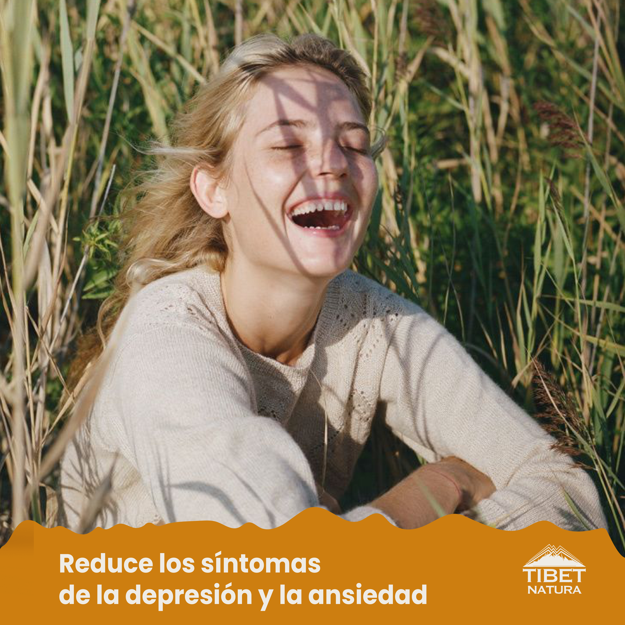 Melena de León - 90 Cápsulas de 500 mg c/u - Hongos Adaptógenos - Suplemento Alimenticio Natural - Sin Azúcar - Ni Conservantes