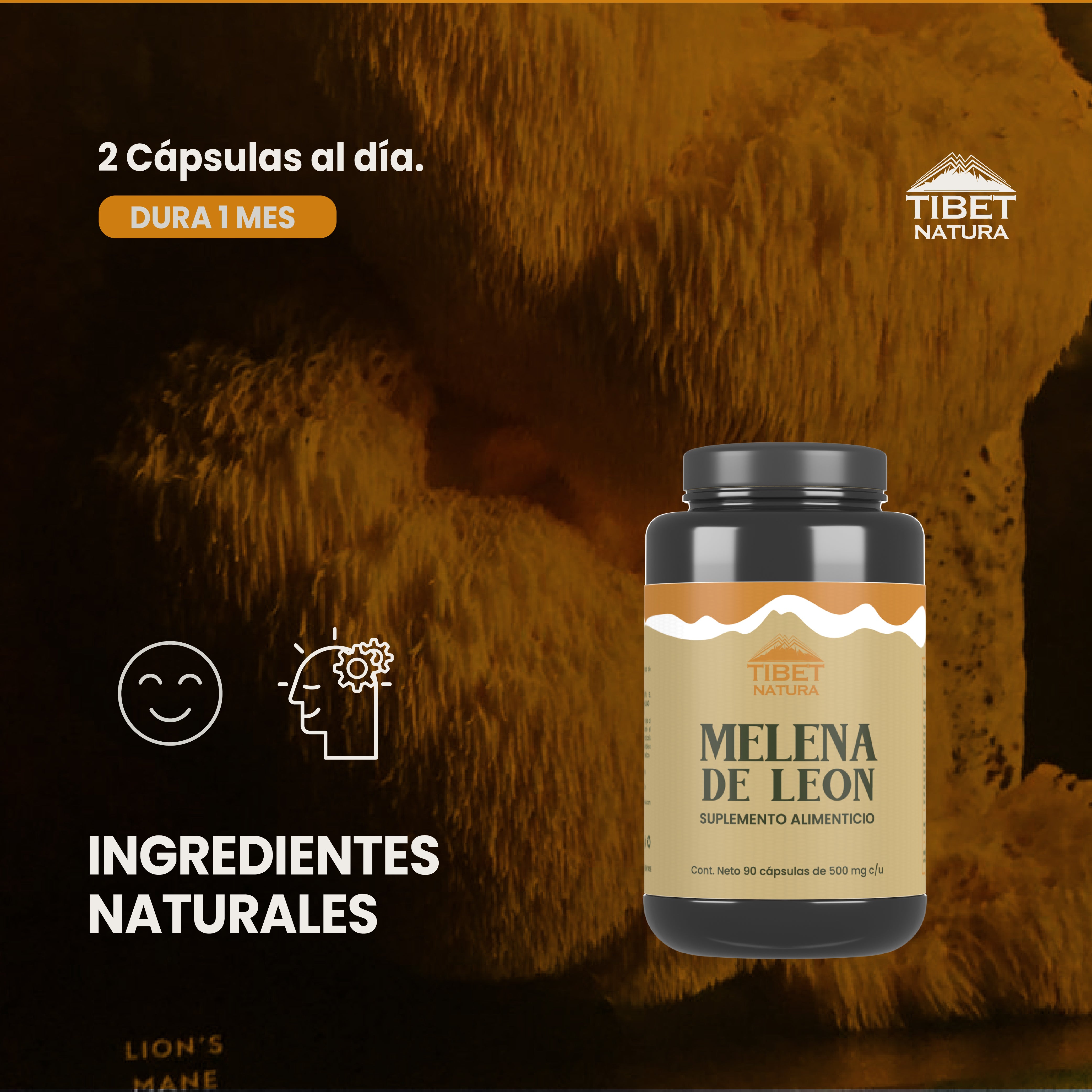 Melena de León - 90 Cápsulas de 500 mg c/u - Hongos Adaptógenos - Suplemento Alimenticio Natural - Sin Azúcar Ni Conservantes