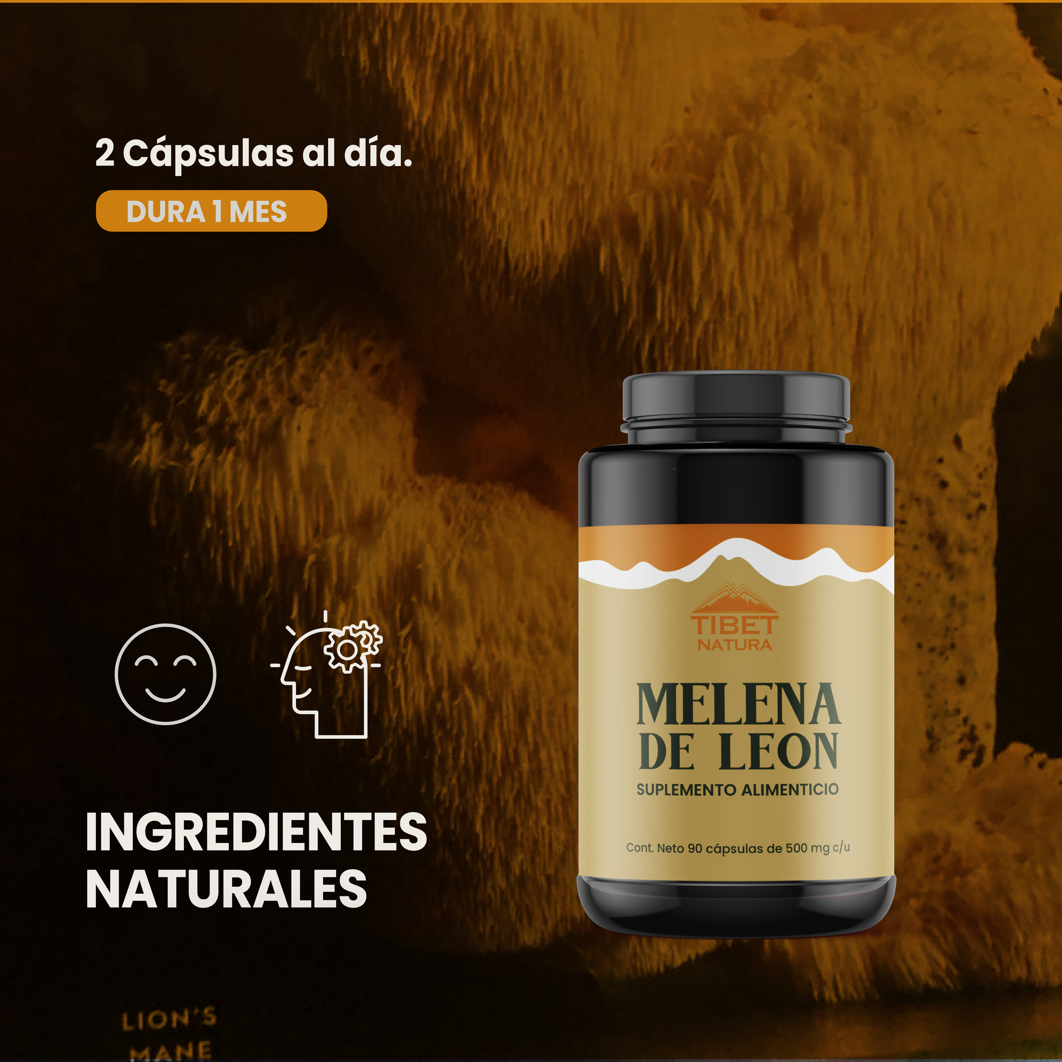 Melena de León - 90 Cápsulas de 500 mg c/u - Hongos Adaptógenos - Suplemento Alimenticio Natural - Sin Azúcar - Ni Conservantes