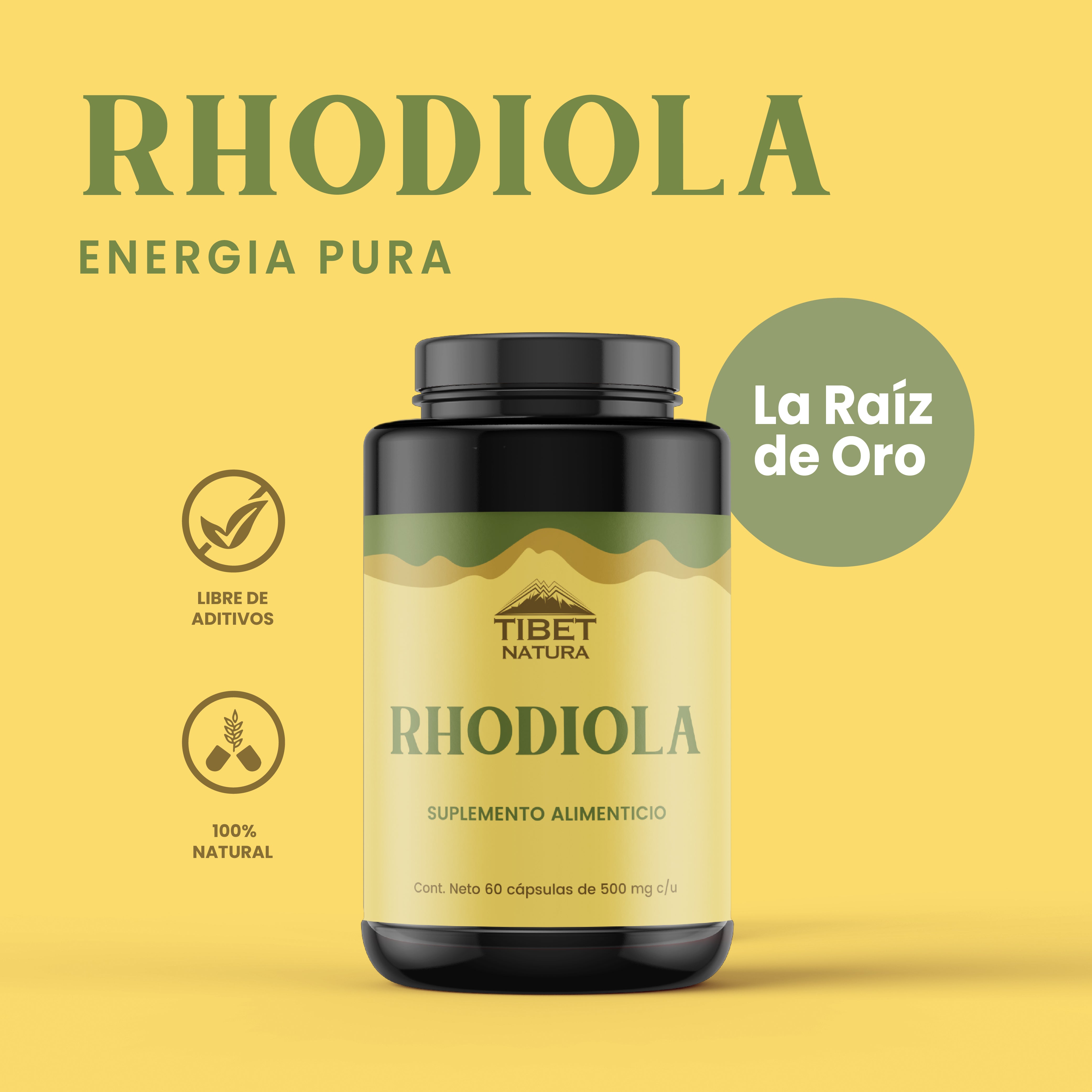 Rhodiola Rosea - 60 Cápsulas 500 mg c/u - Suplemento Alimenticio -Sin Azúcar - Hongos Adaptógenos - 100% Natural - Energía y Enfoque