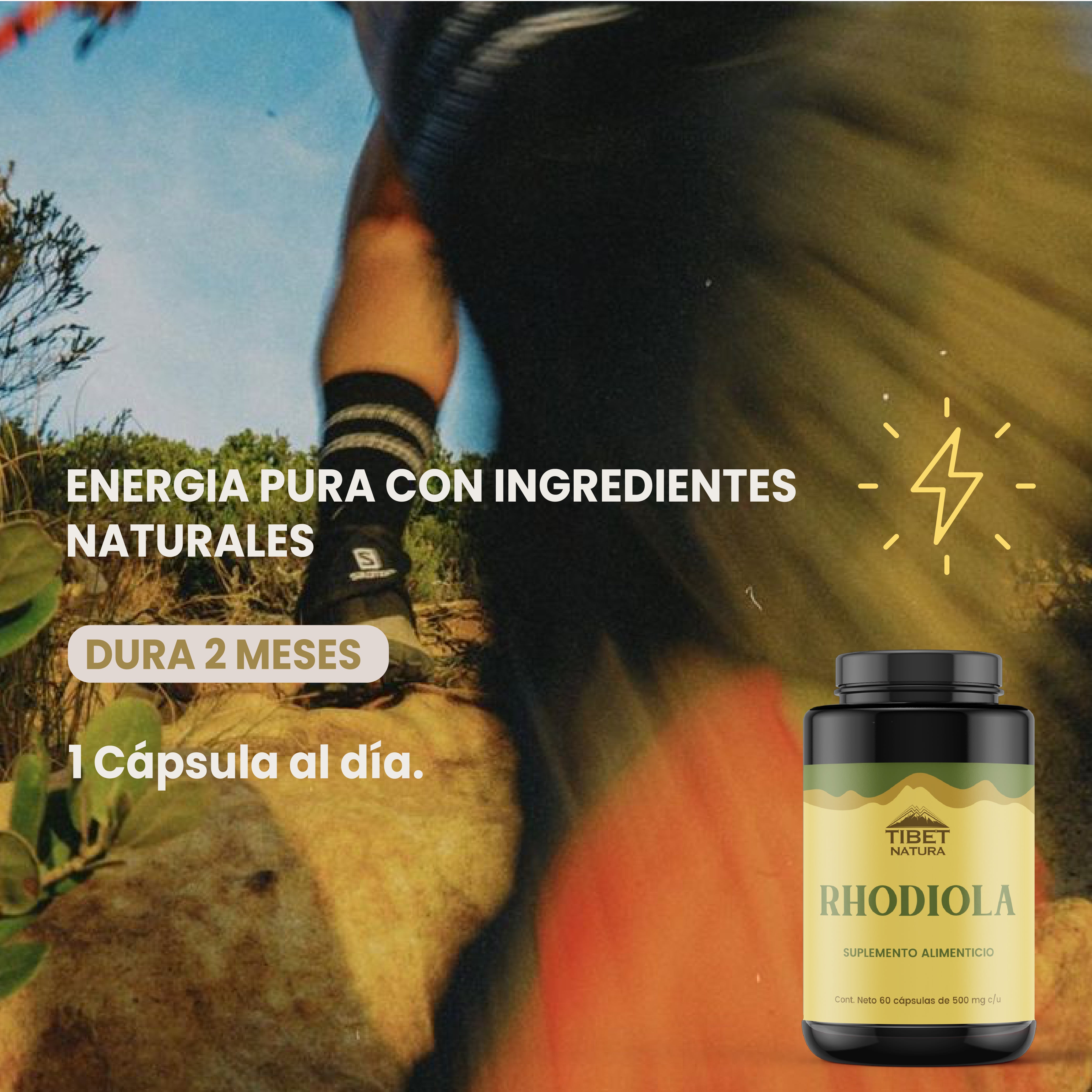 Rhodiola Rosea - 60 Cápsulas 500 mg c/u - Suplemento Alimenticio -Sin Azúcar - Hongos Adaptógenos - 100% Natural - Energía y Enfoque
