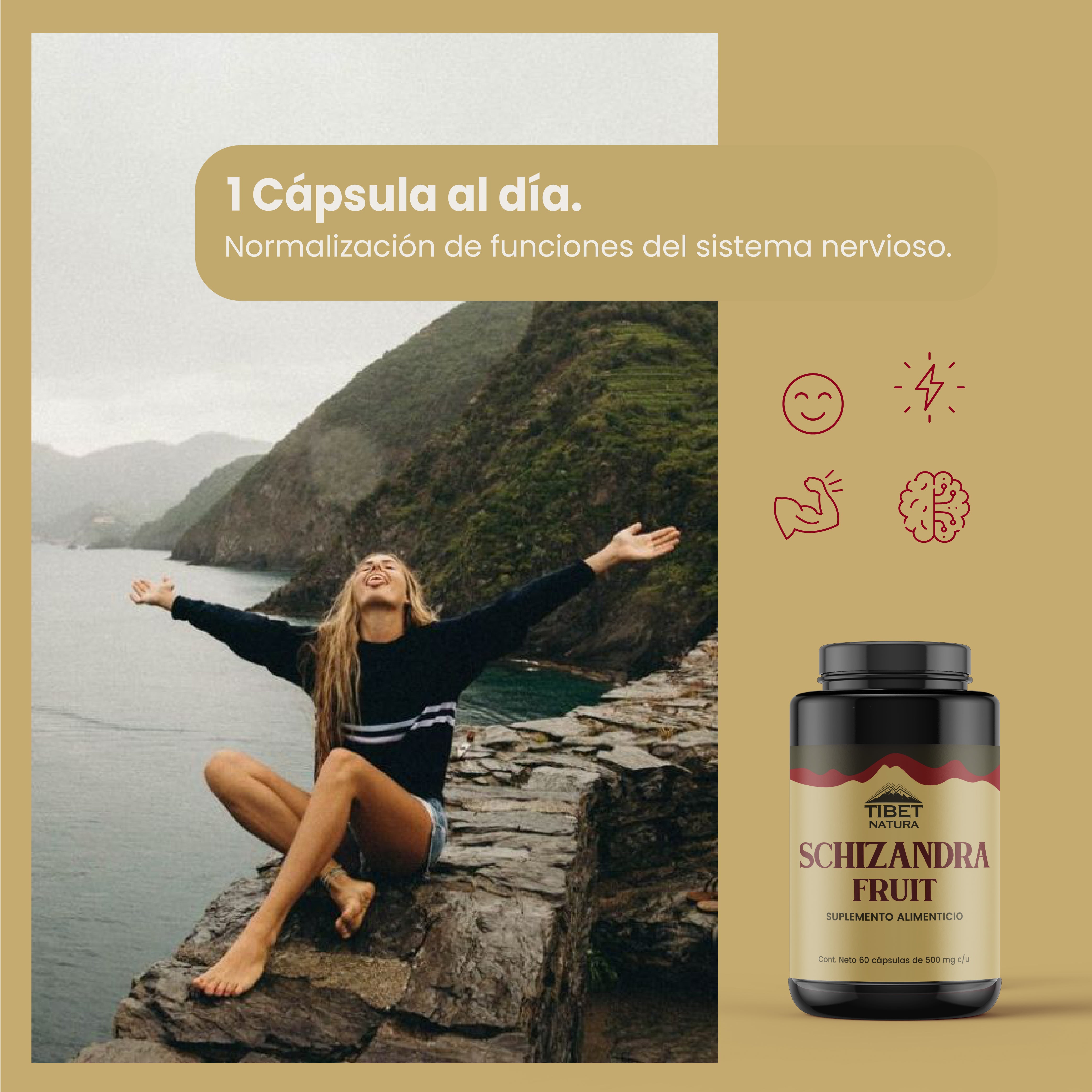 Schizandra - 60 cápsulas de 500 mg c/u - Suplemento Alimenticio - Schisandra Fruit - Sin Azúcar - Energía