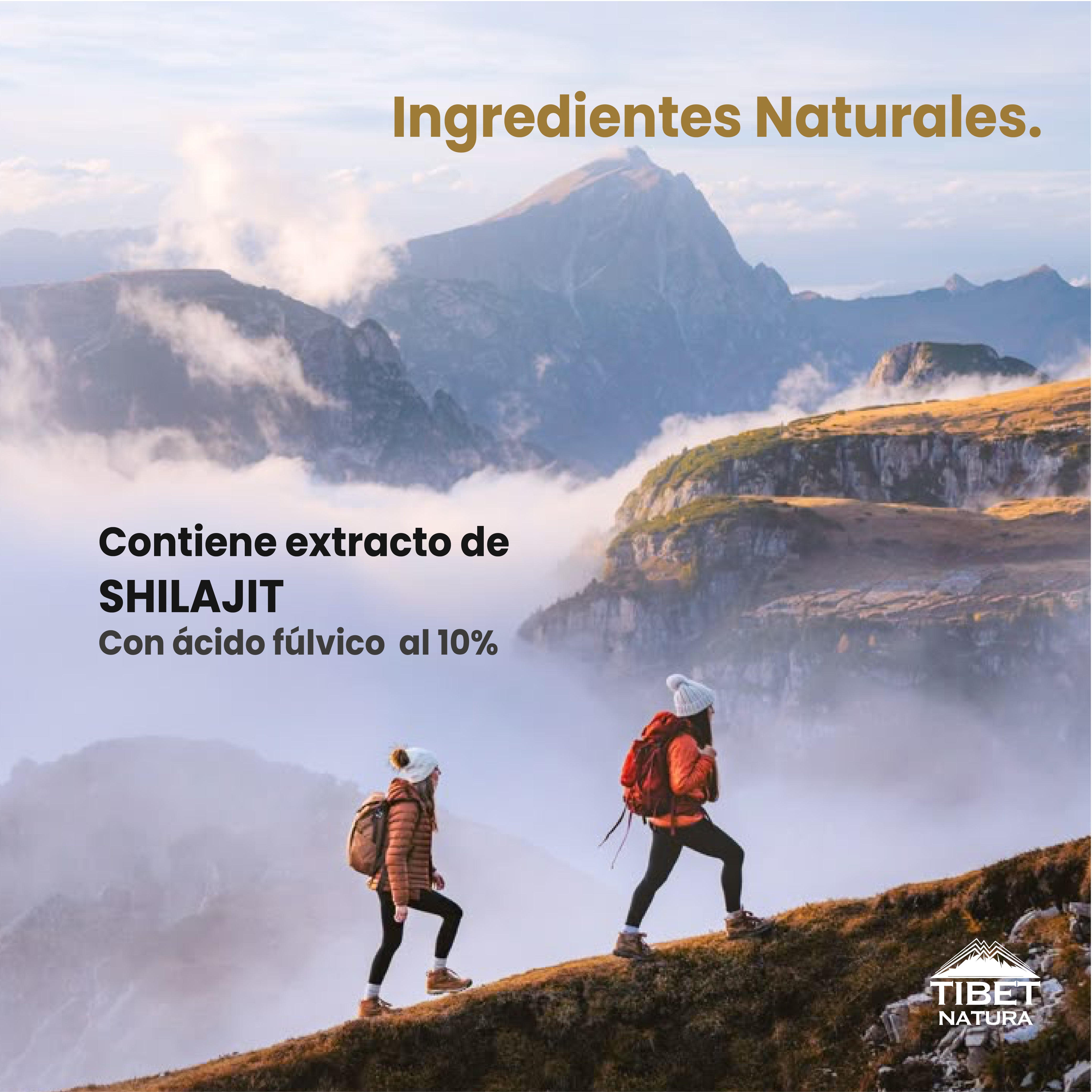 Extracto de Shilajit - 60 cápsulas de 500 mg c/u - Extracto de Ácido Fúlvico - Suplemento Alimenticio Natural - Sin Azúcar - Minerales Esenciales