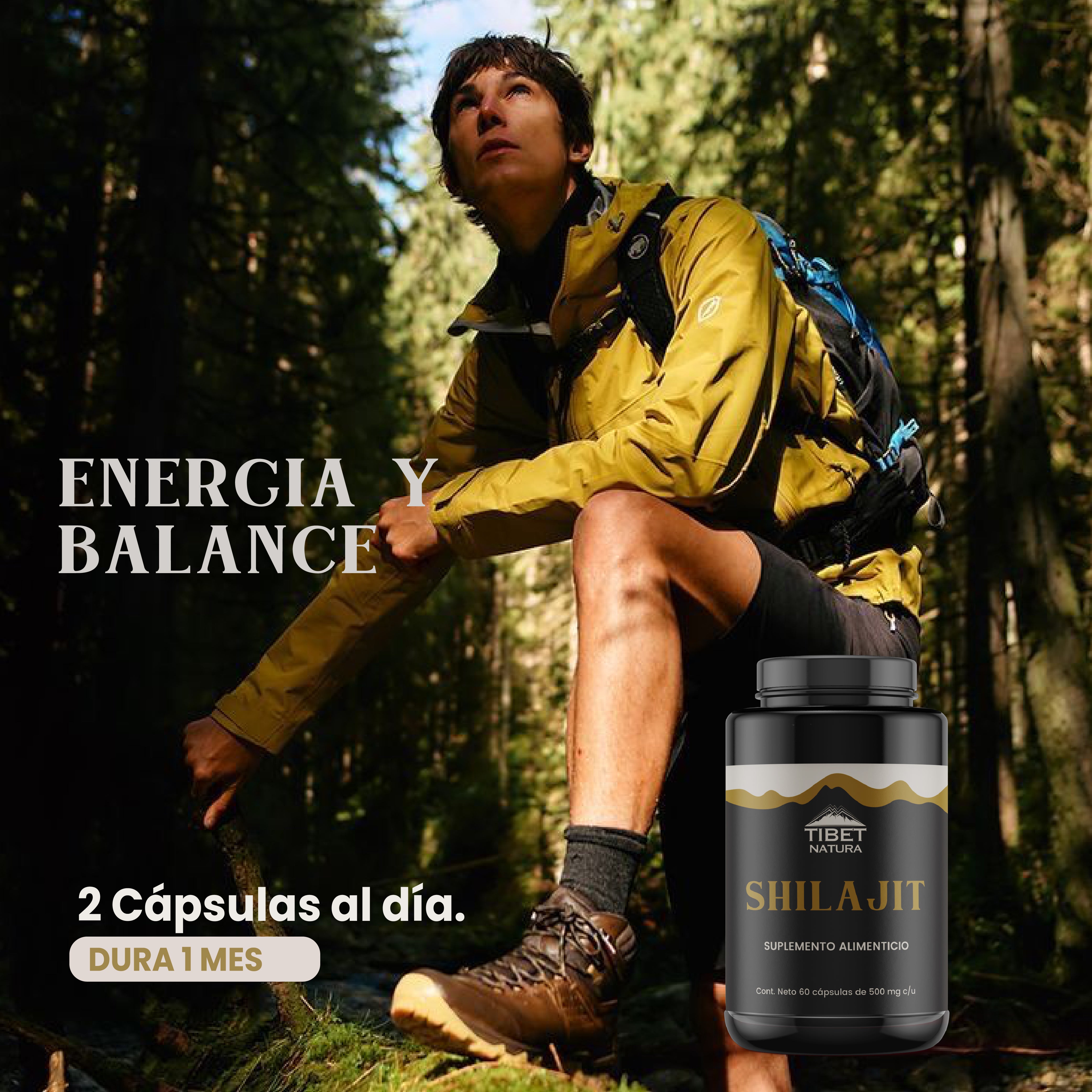 Extracto de Shilajit - 60 cápsulas de 500 mg c/u - Extracto de Ácido Fúlvico - Suplemento Alimenticio Natural - Sin Azúcar - Minerales Esenciales