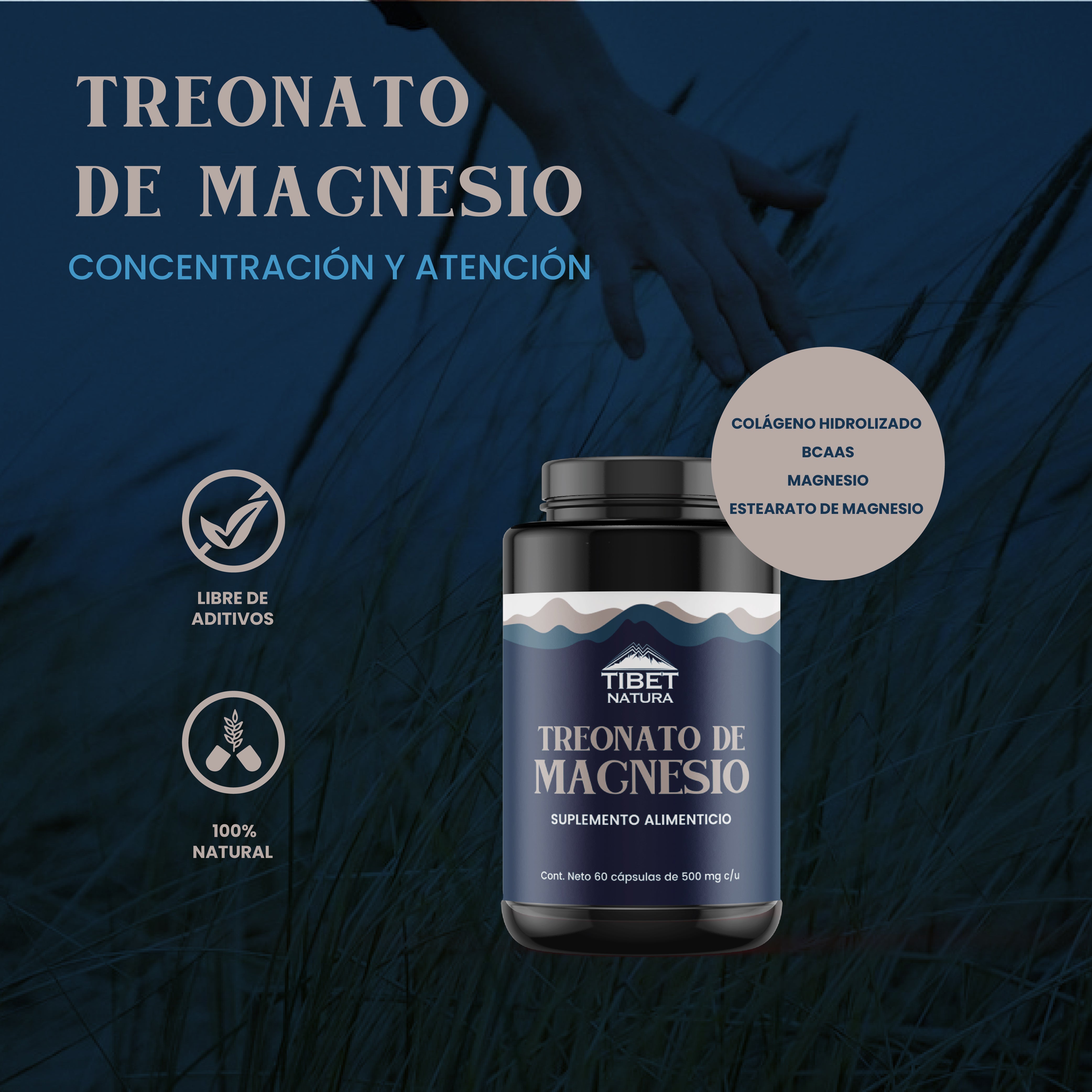 Treonato de Magnesio 60 Cápsulas 500 mg c/u - Con Colágeno Hidrolizado, BCAA y Estearato de magnesio - Suplemento Alimenticio Sin Azúcar