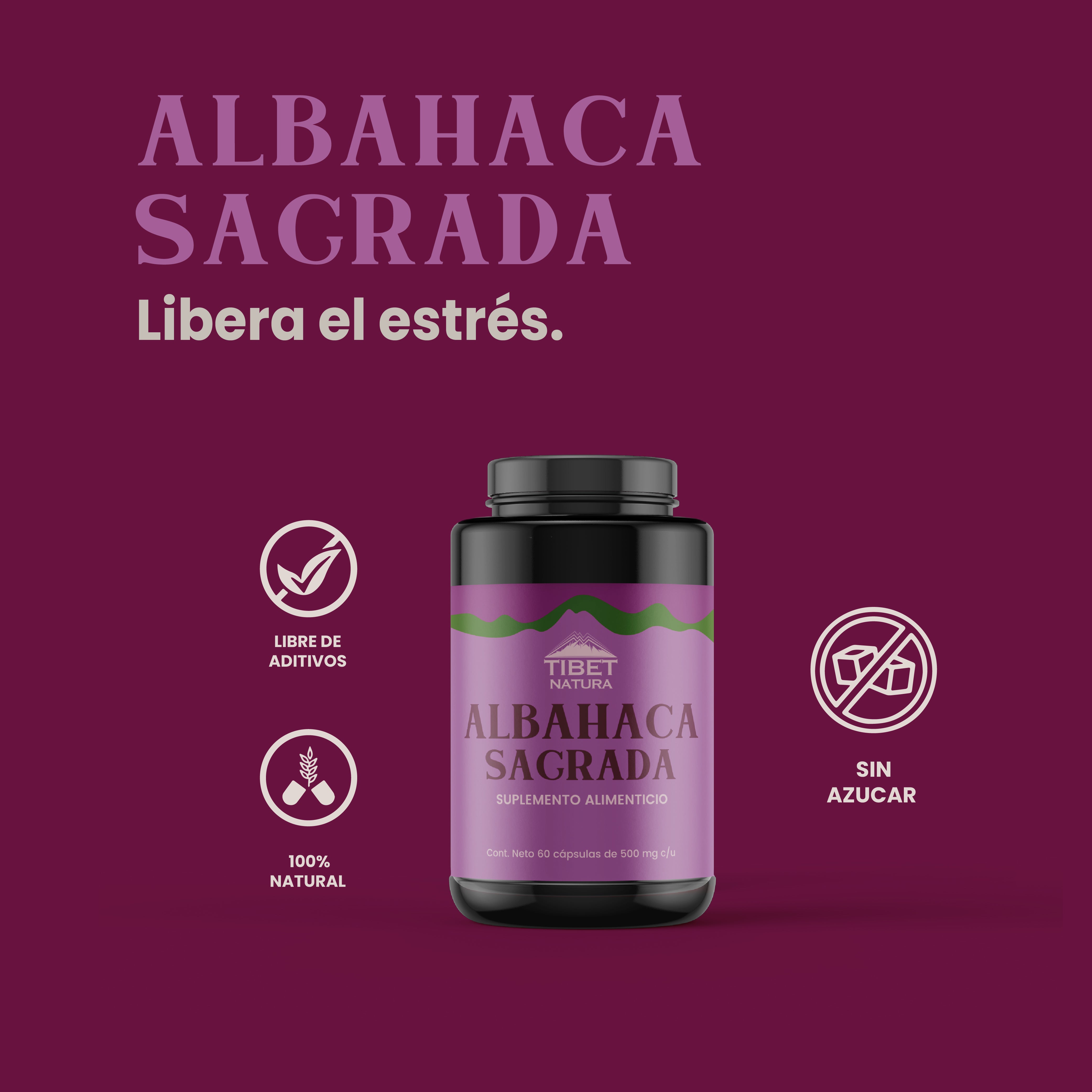 Albahaca Sagrada 100% Pura - 60 Cápsulas 500 mg c/u - Suplemento Natural - Adaptógeno - Sin Azúcar - Suministro para 2 Meses - En Cápsulas De Gelatina