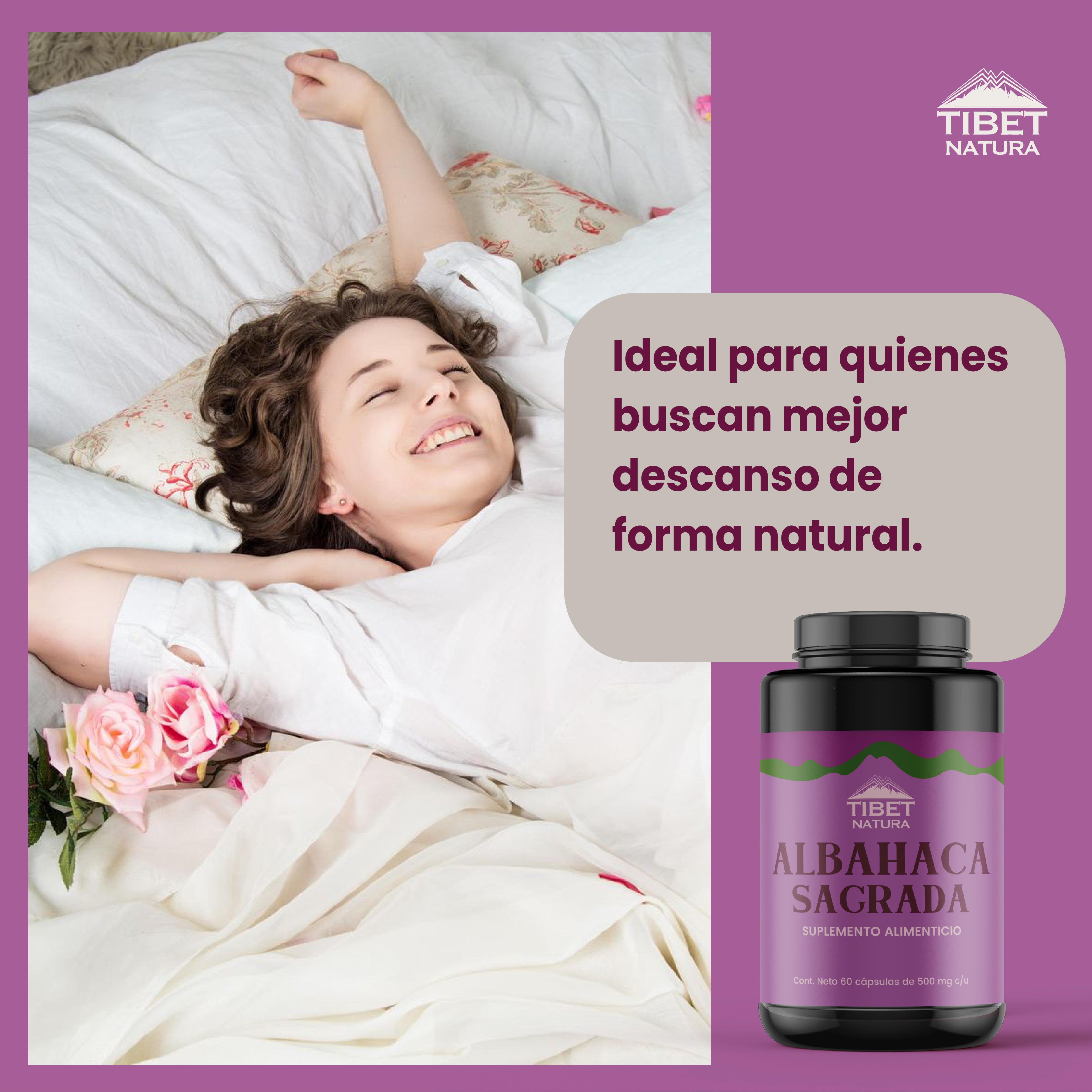 Albahaca Sagrada 100% Pura - 60 Cápsulas 500 mg c/u - Suplemento Natural - Adaptógeno - Sin Azúcar - Suministro para 2 Meses - En Cápsulas De Gelatina