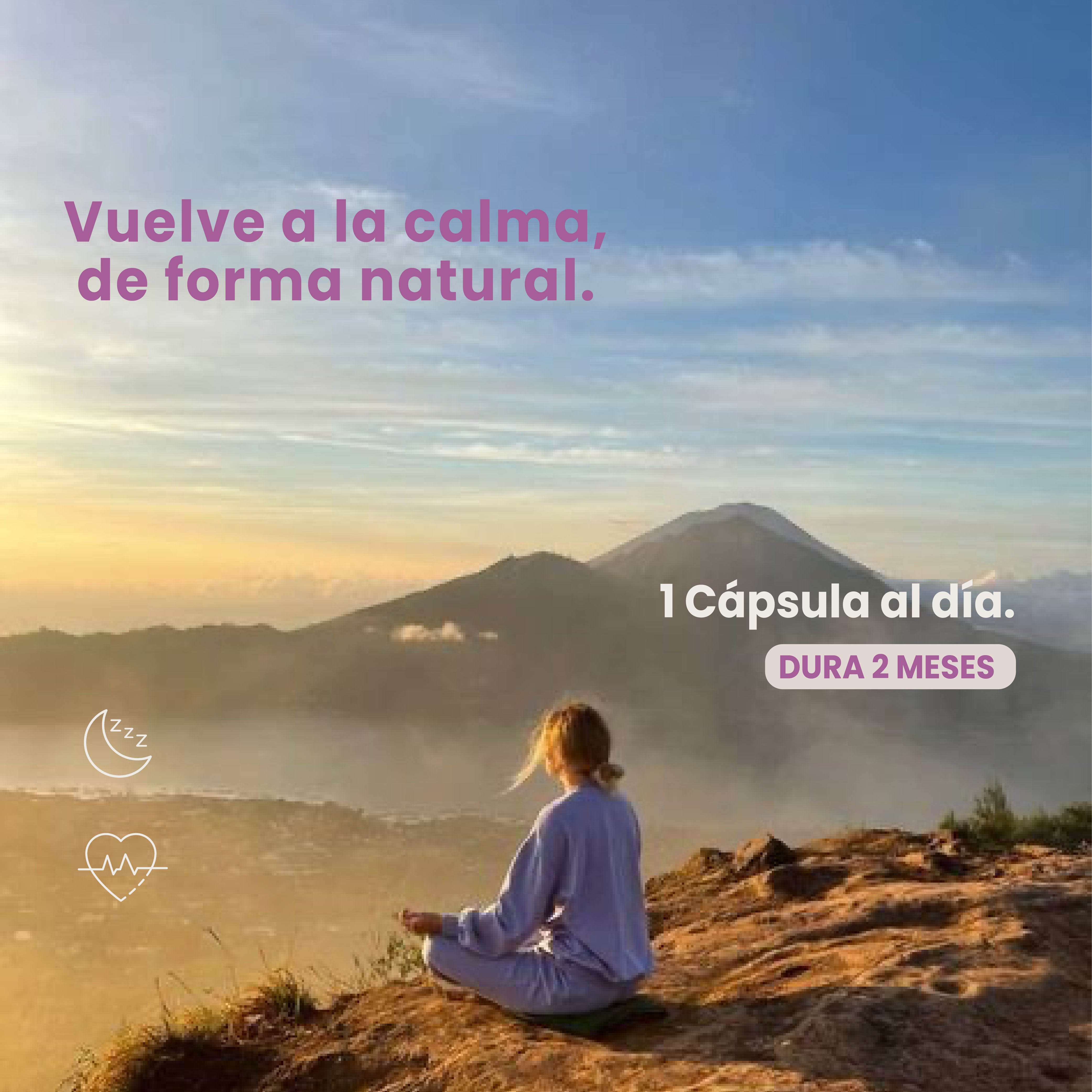 Albahaca Sagrada 100% Pura - 60 Cápsulas 500 mg c/u - Suplemento Natural - Adaptógeno - Sin Azúcar - Suministro para 2 Meses - En Cápsulas De Gelatina