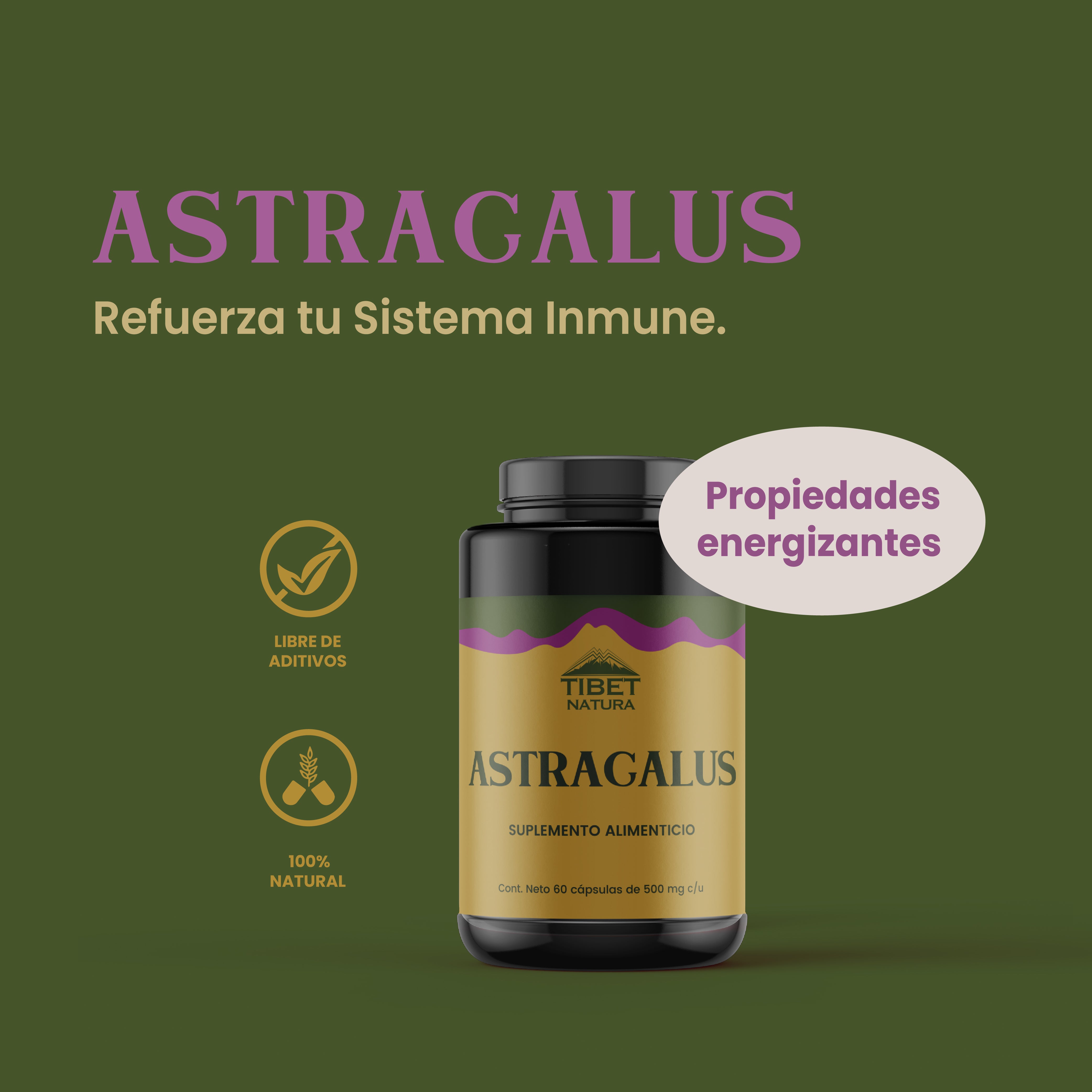 Astrágalo - Suplemento Alimenticio Sin Azúcar- 60 cáps de 500 mg c/u.