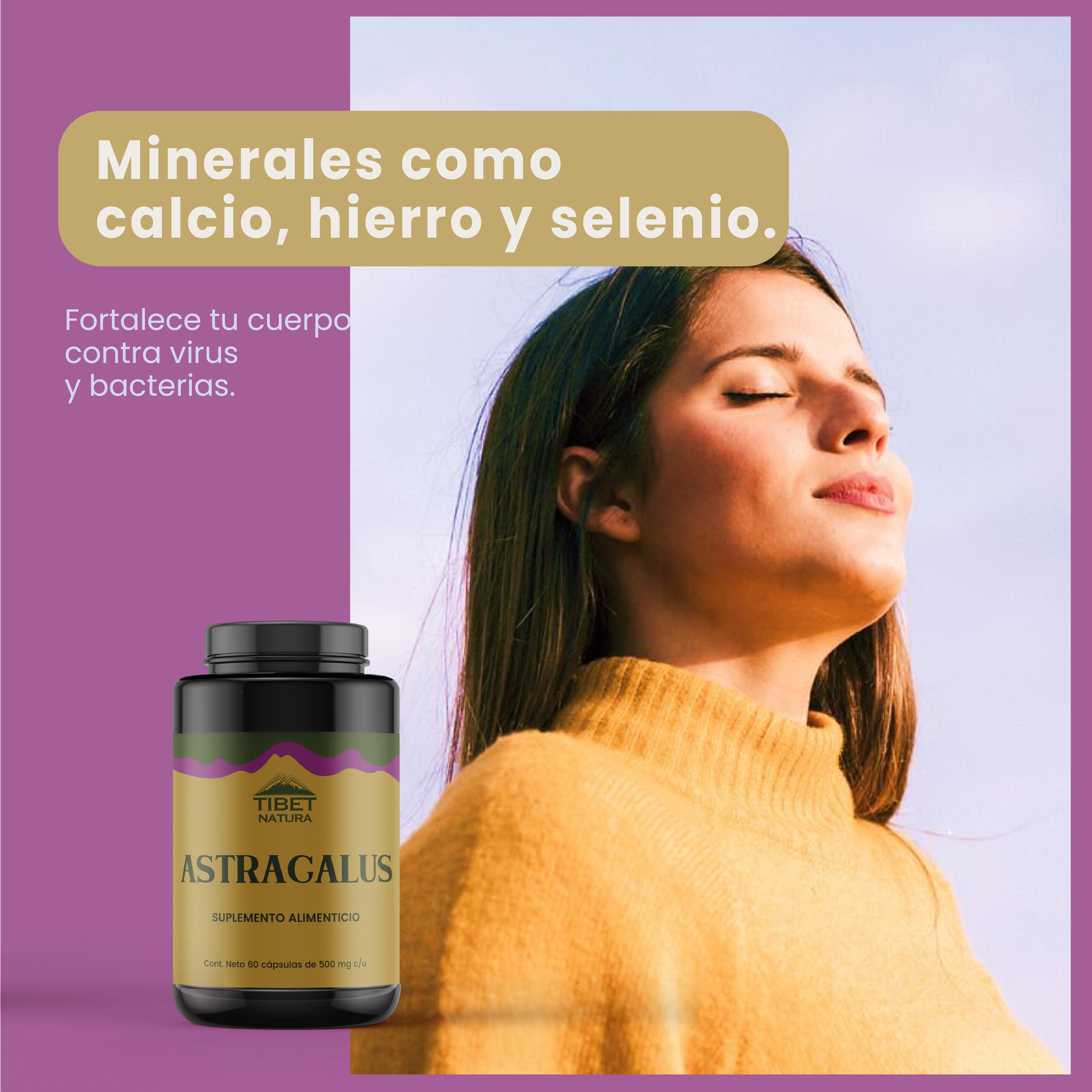 Astrágalo - Suplemento Alimenticio Sin Azúcar- 60 cáps de 500 mg c/u.