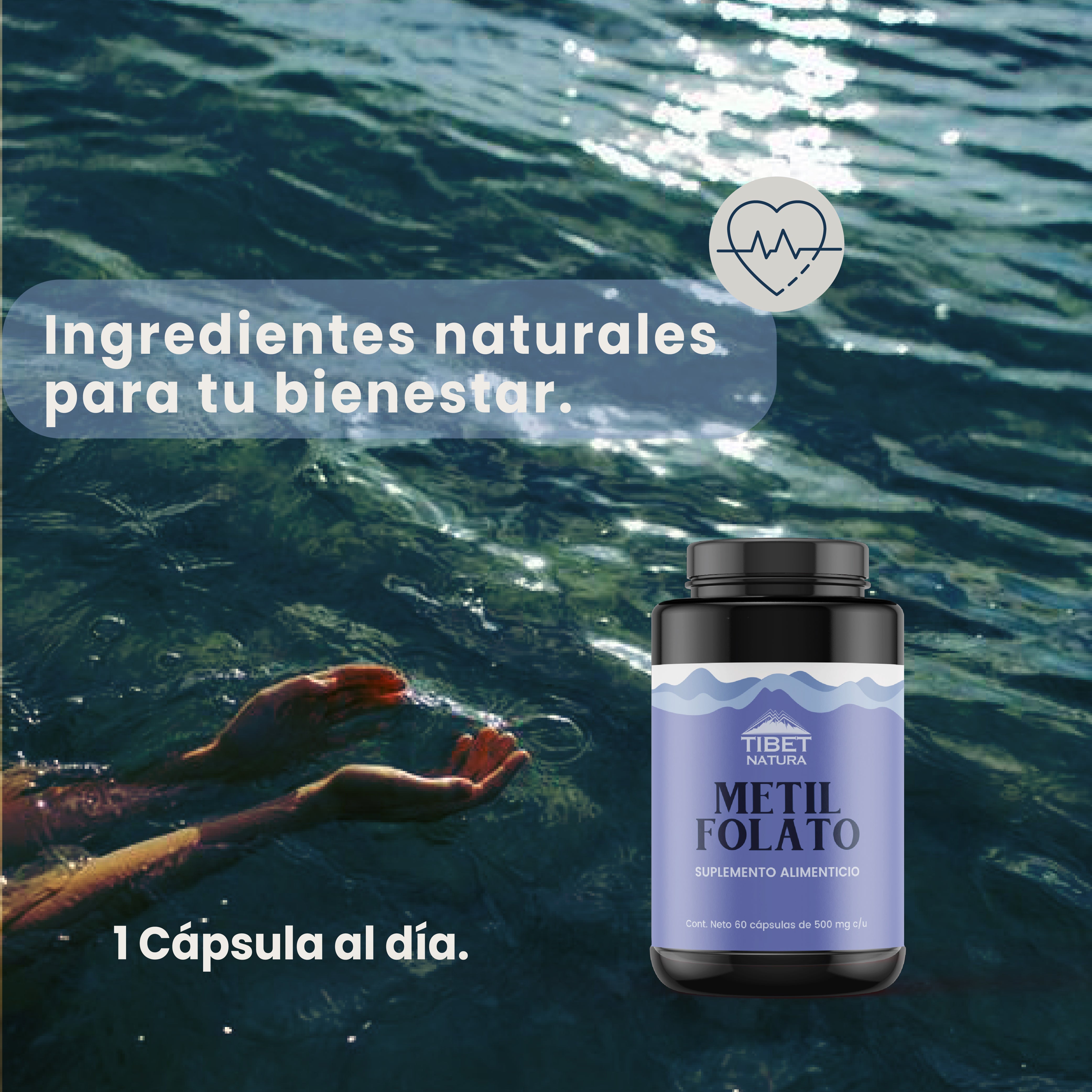 Metil folato, Levadura, Brocolí y Estearato de Magnesio. 60 Cáps de 500 mg c/u. Sin azúcares, sin sabor.