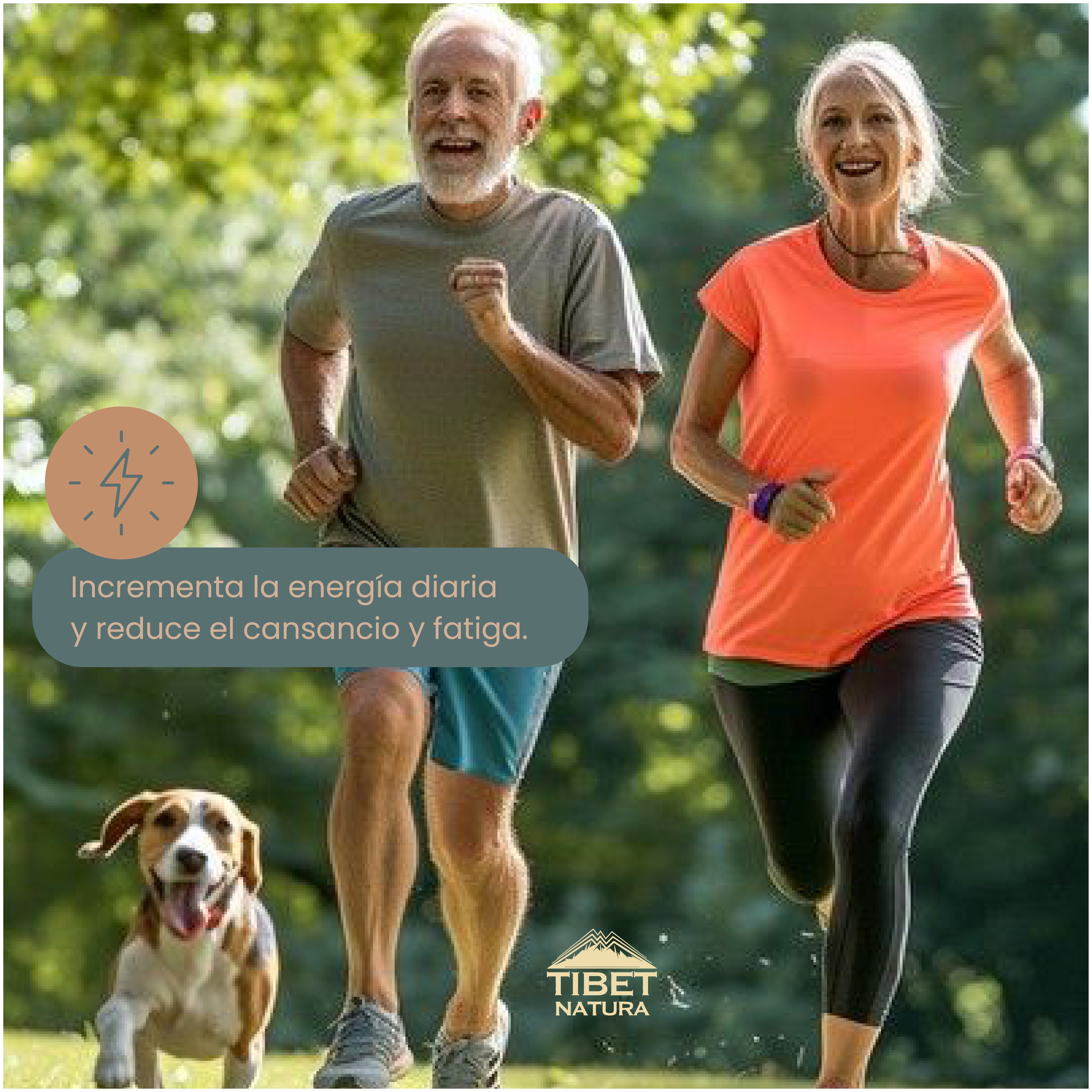 NAD Nicotinamida Ribósido- 30 Cápsulas 500 mg c/u - Suplemento Alimenticio