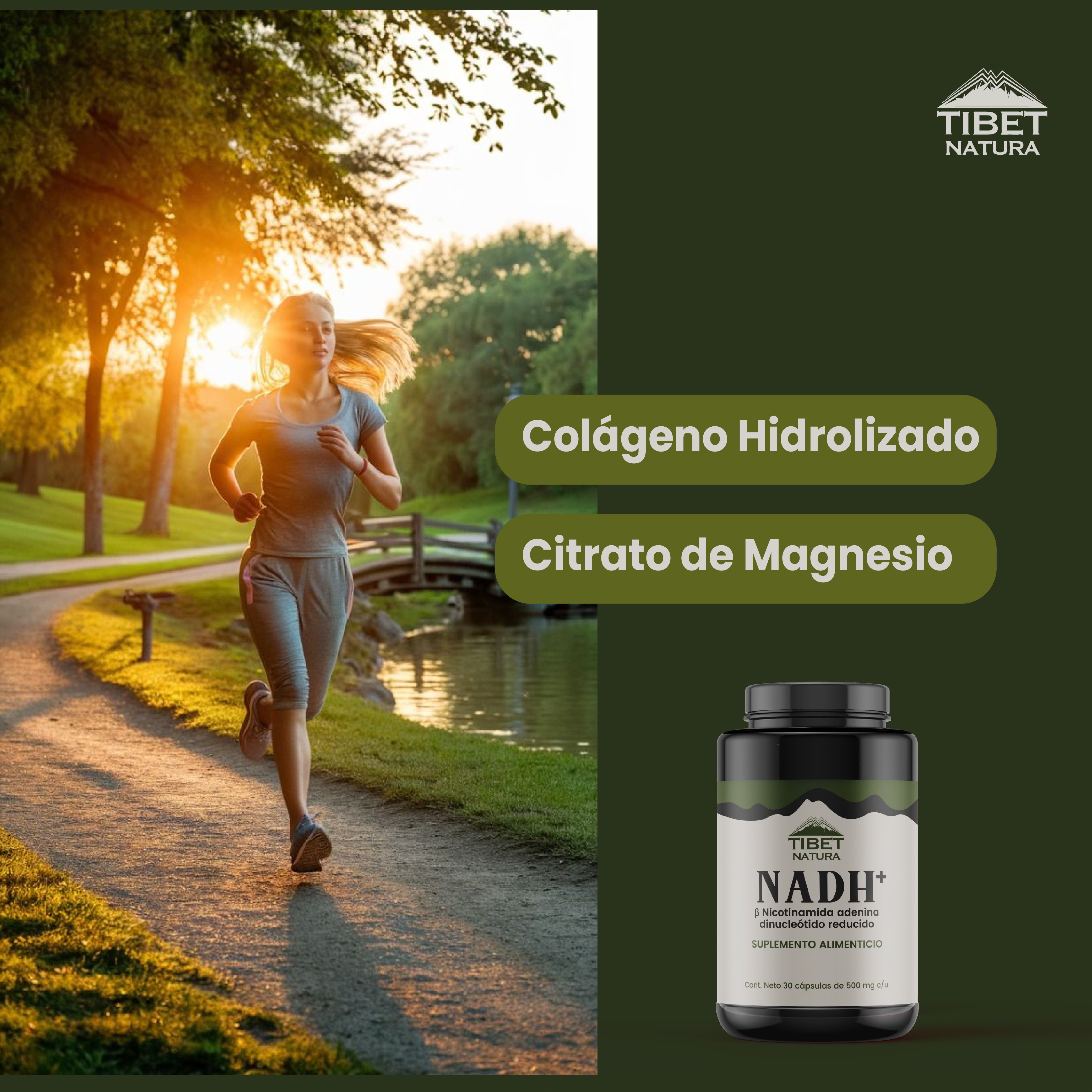 NADH+ Nicotinamida Adenina Dinucleótido Reducido - Con Citrato de Magnesio y Colágeno Hidrolizado - 30 Cápsulas 500 mg c/u - Suplemento Alimenticio