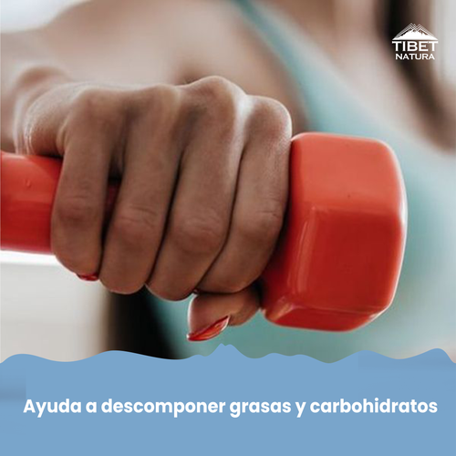 Cromo Con L-Carnitina 60 cápsulas de 400 mg.