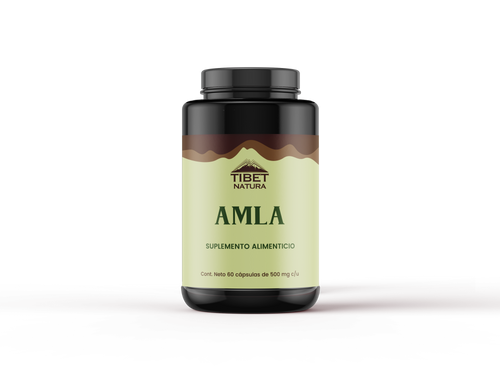 como tomar l carnitina 3000 Amazon.com: Cutler Nutrition Carnitina líquida 3000 contiene carnitina, acetil L carnitina, L carnitina tartrato para energía y apoyo al metabolismo con vitaminas B | Sabor a sandía como tomar l carnitina 3000 Amazon.com: Cutler Nutrition Carnitina líquida 3000 contiene carnitina, acetil L carnitina, L carnitina tartrato para energía y apoyo al metabolismo con vitaminas B | Sabor a sandía