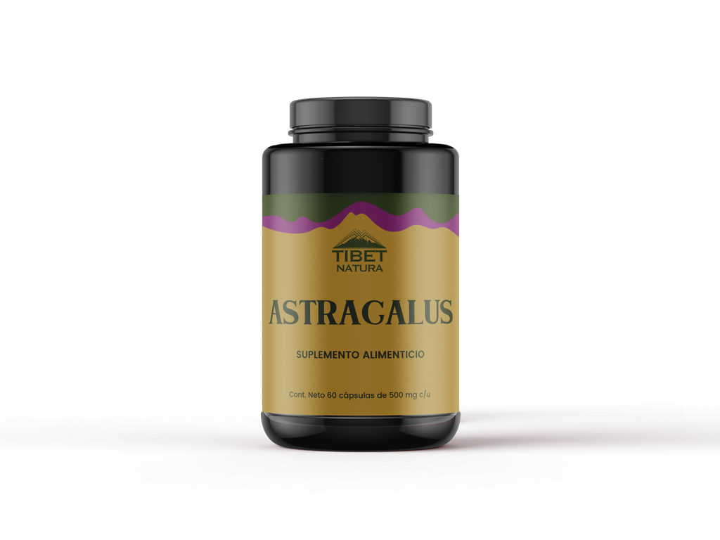 Astragalus