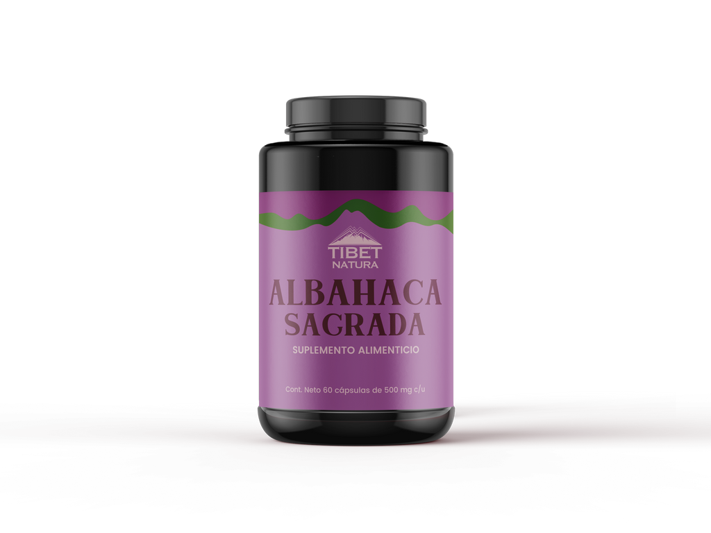 Albahaca Sagrada