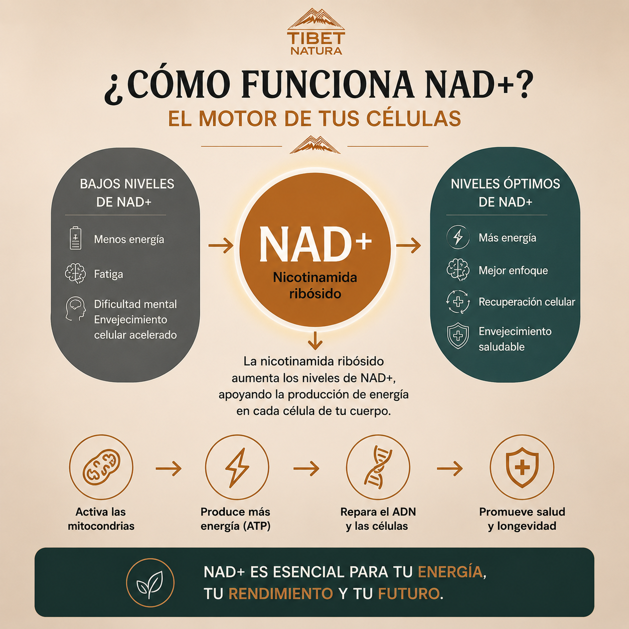 NAD 30 cápsulas de 500 mg.