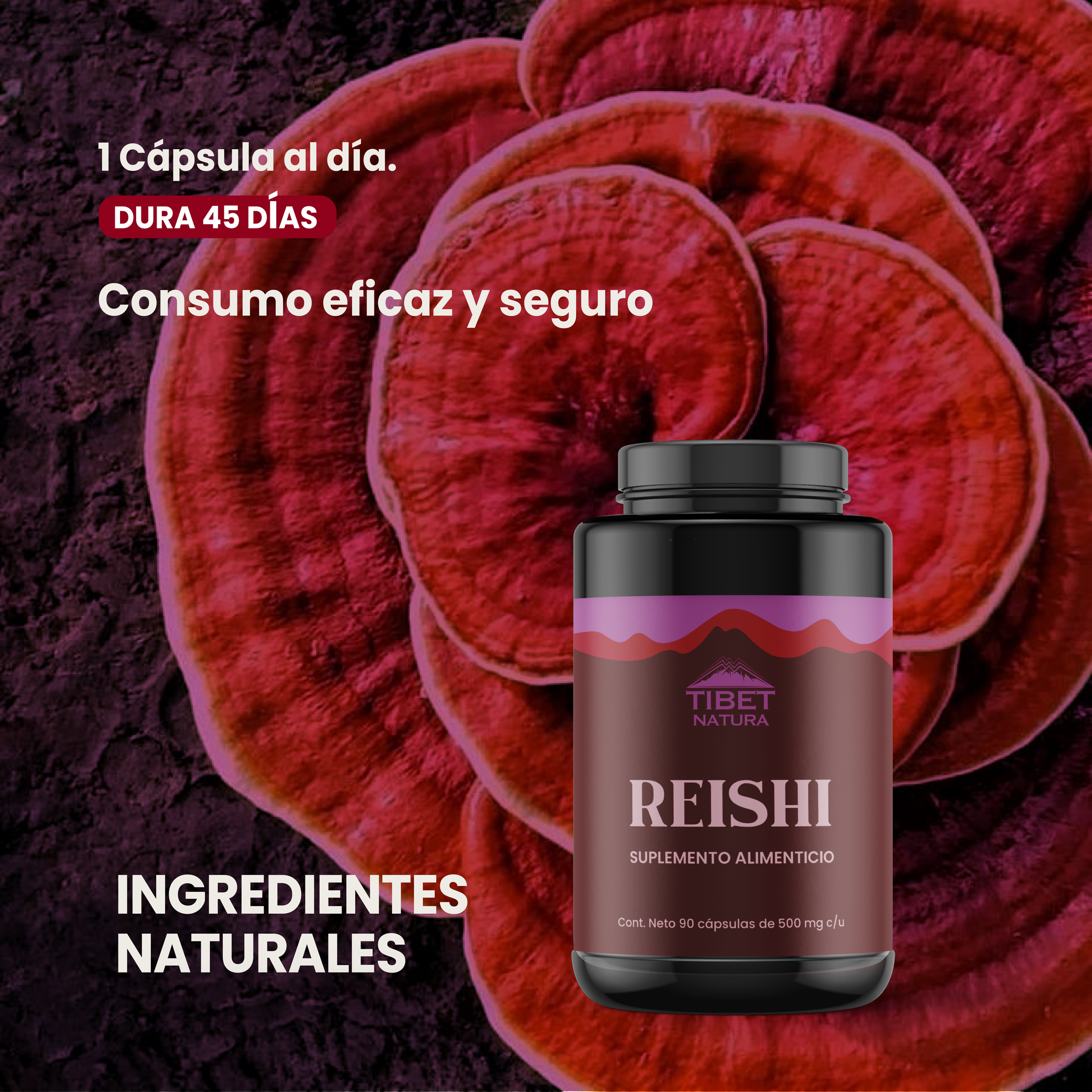 Hongo Reishi - Suplemento Alimenticio - 90 cápsulas de 500 mg c/u - Hongos Adaptógenos - Sin Azúcar - Ingredientes Naturales