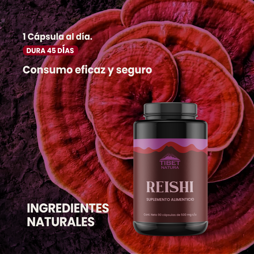 Reishi