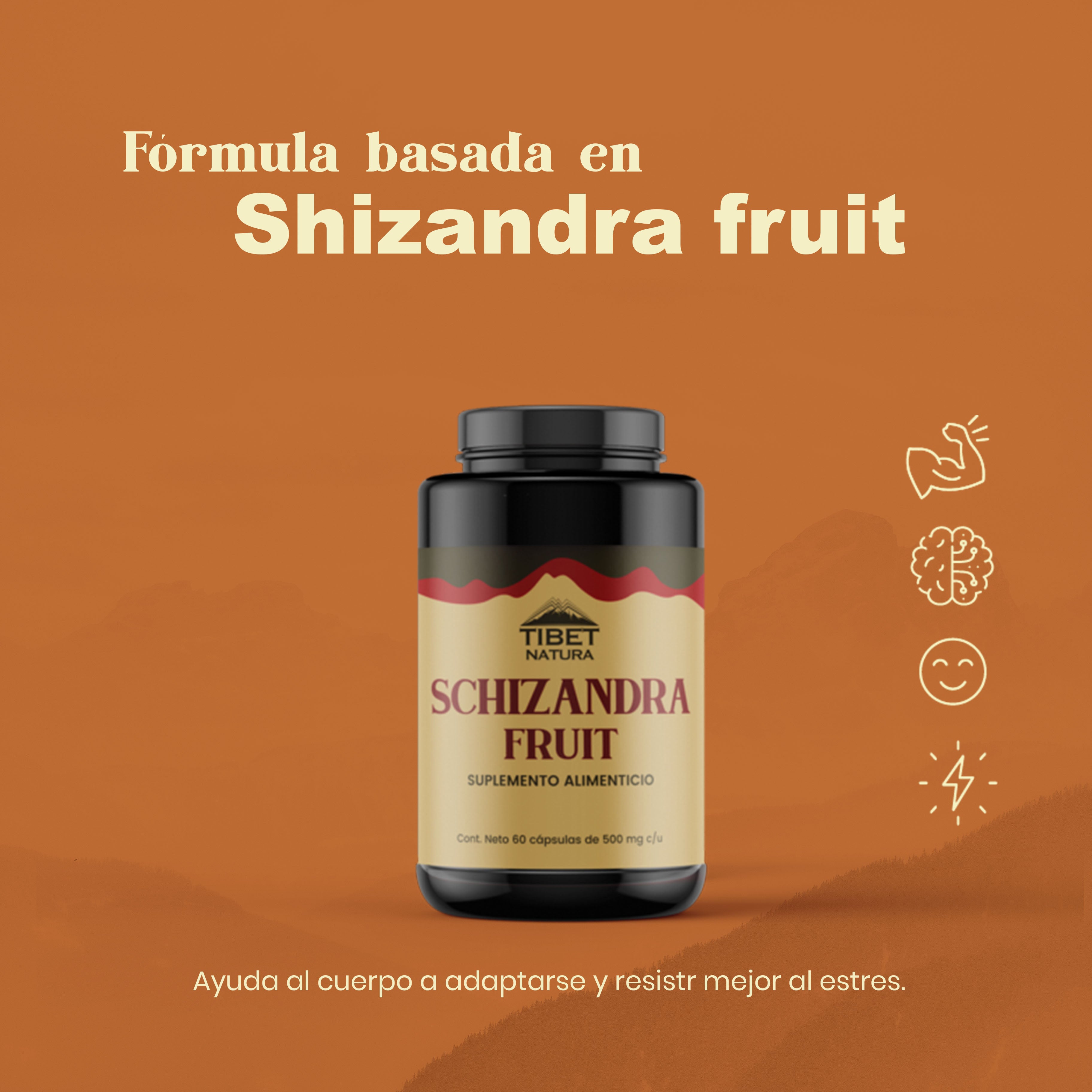SHIZANDRA FRUIT