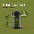 Tongkat Ali 60 cápsulas de 500 mg.