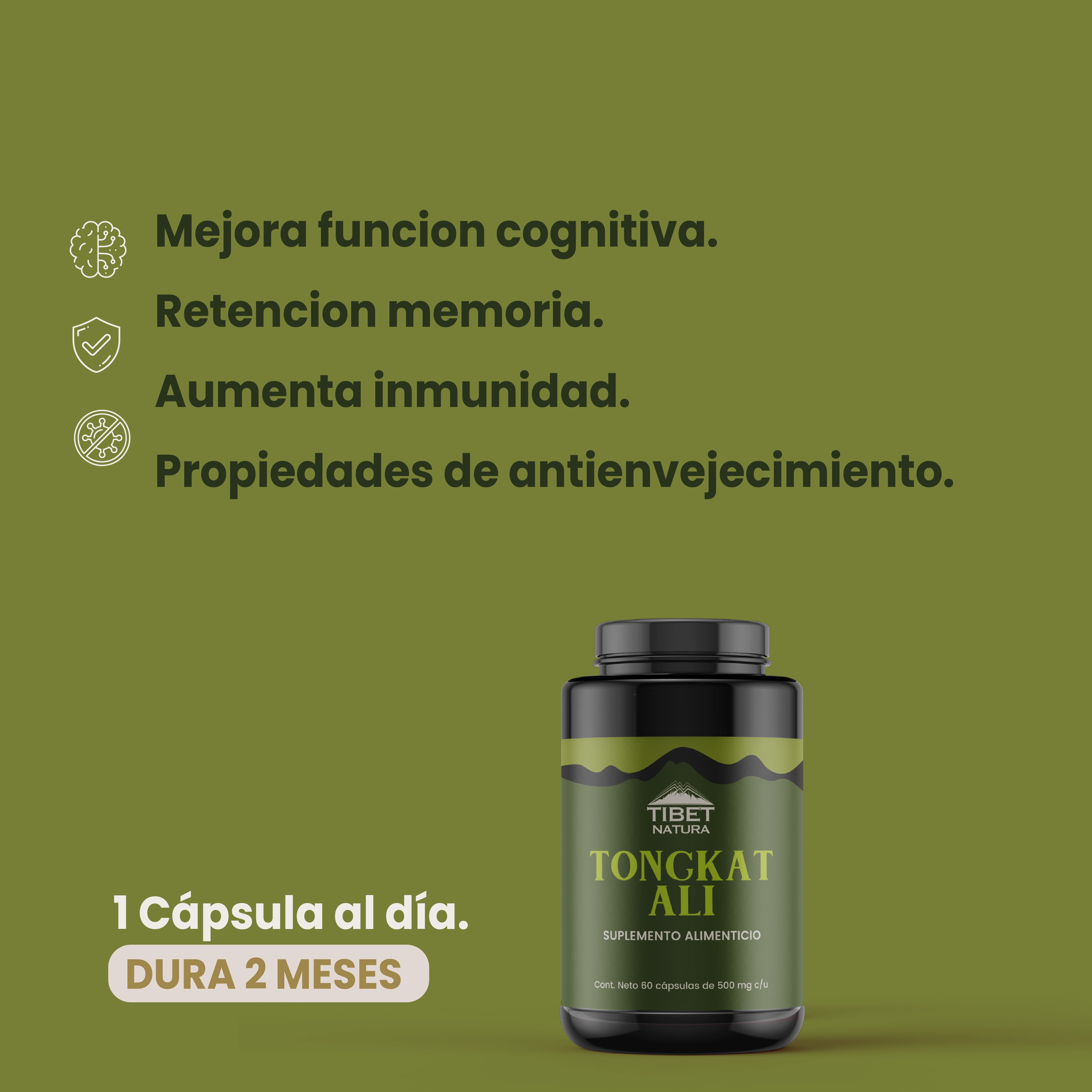 Tongkat Ali - 60 Cápsulas 500 mg - Suplemento Alimenticio Natural - Sin Azúcar Ni Aditivos